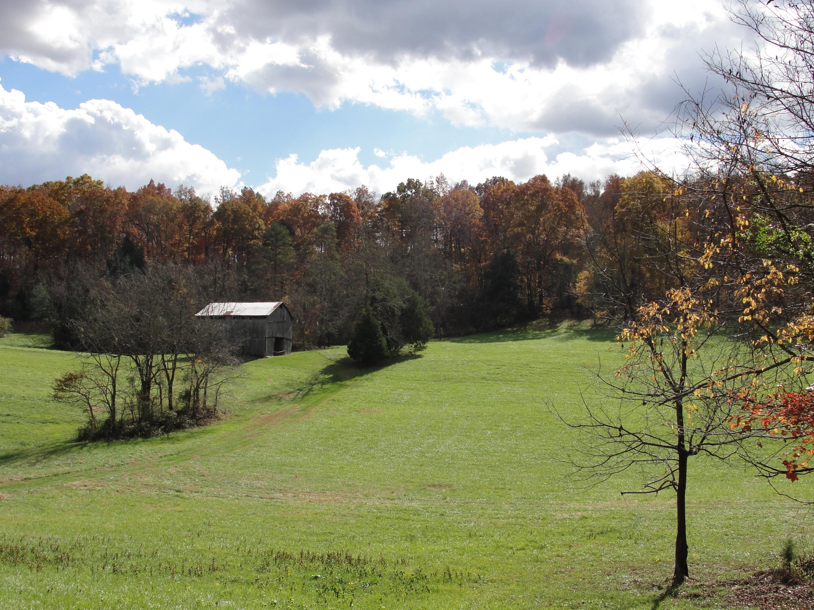 160 Lost Creek Road Sharps Chapel, TN 37866 - Photo 4 of 14 011