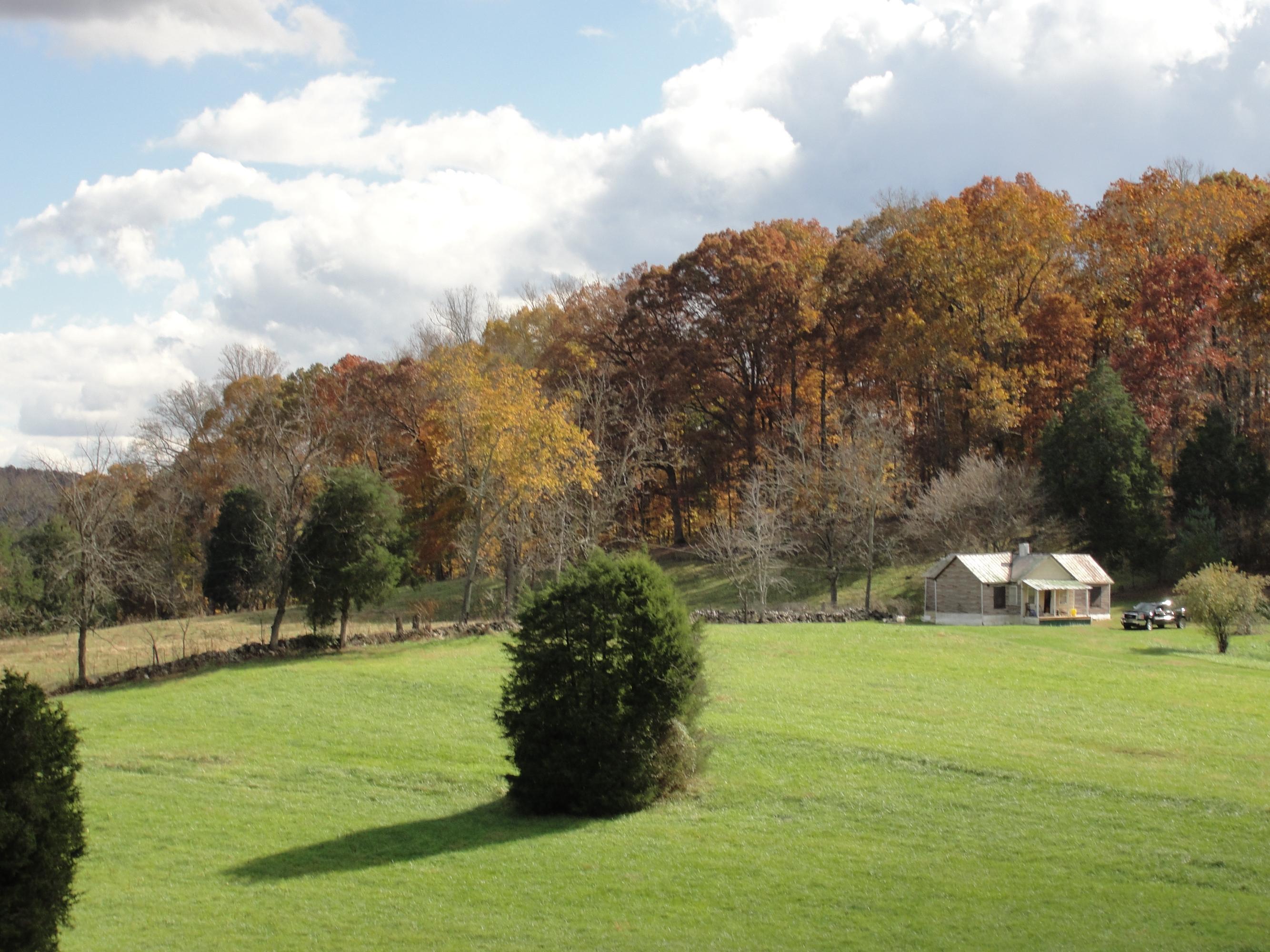 160 Lost Creek Road Sharps Chapel, TN 37866 - Photo 5 of 14 012