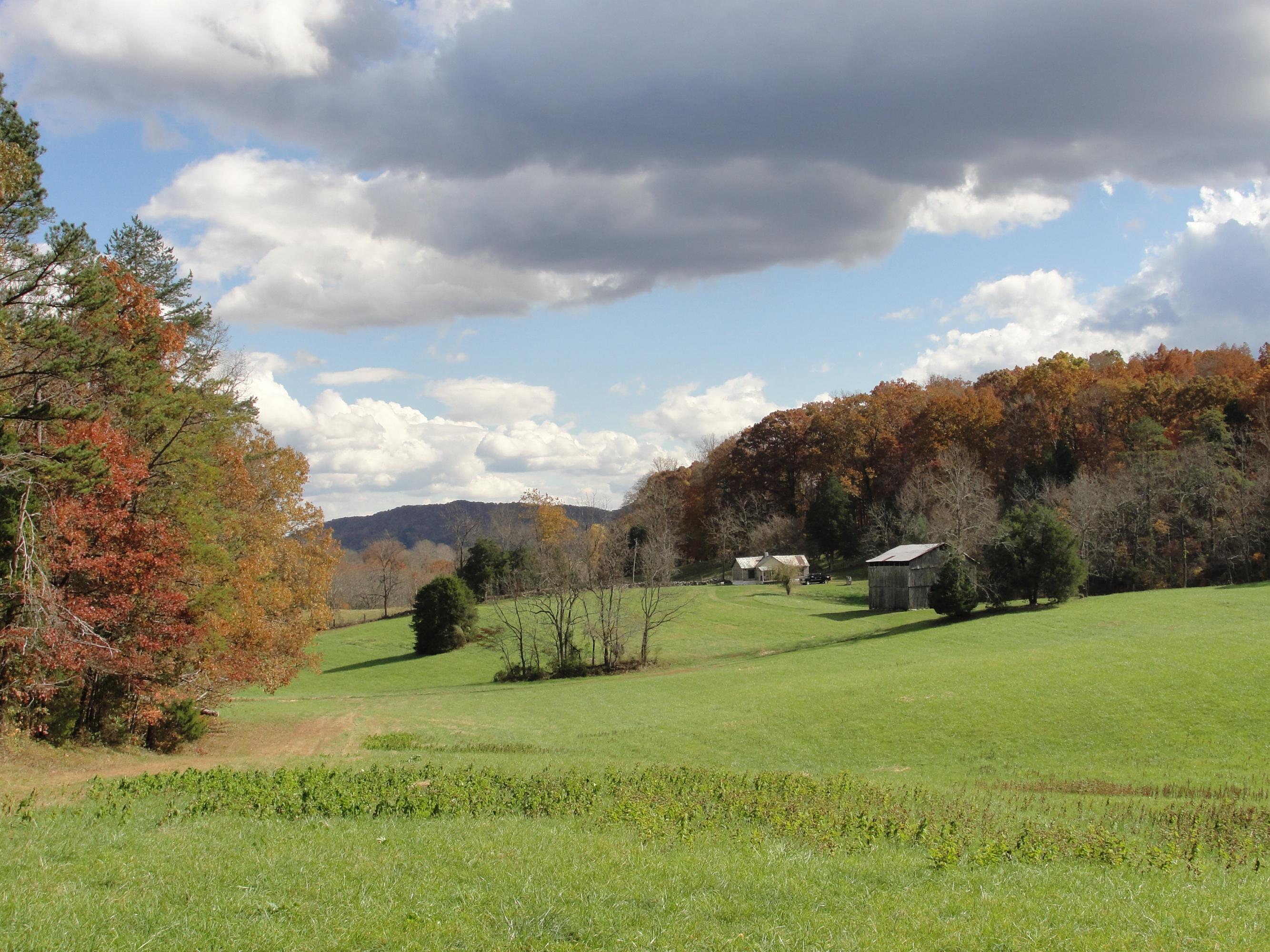160 Lost Creek Road Sharps Chapel, TN 37866 - Photo 6 of 14 013