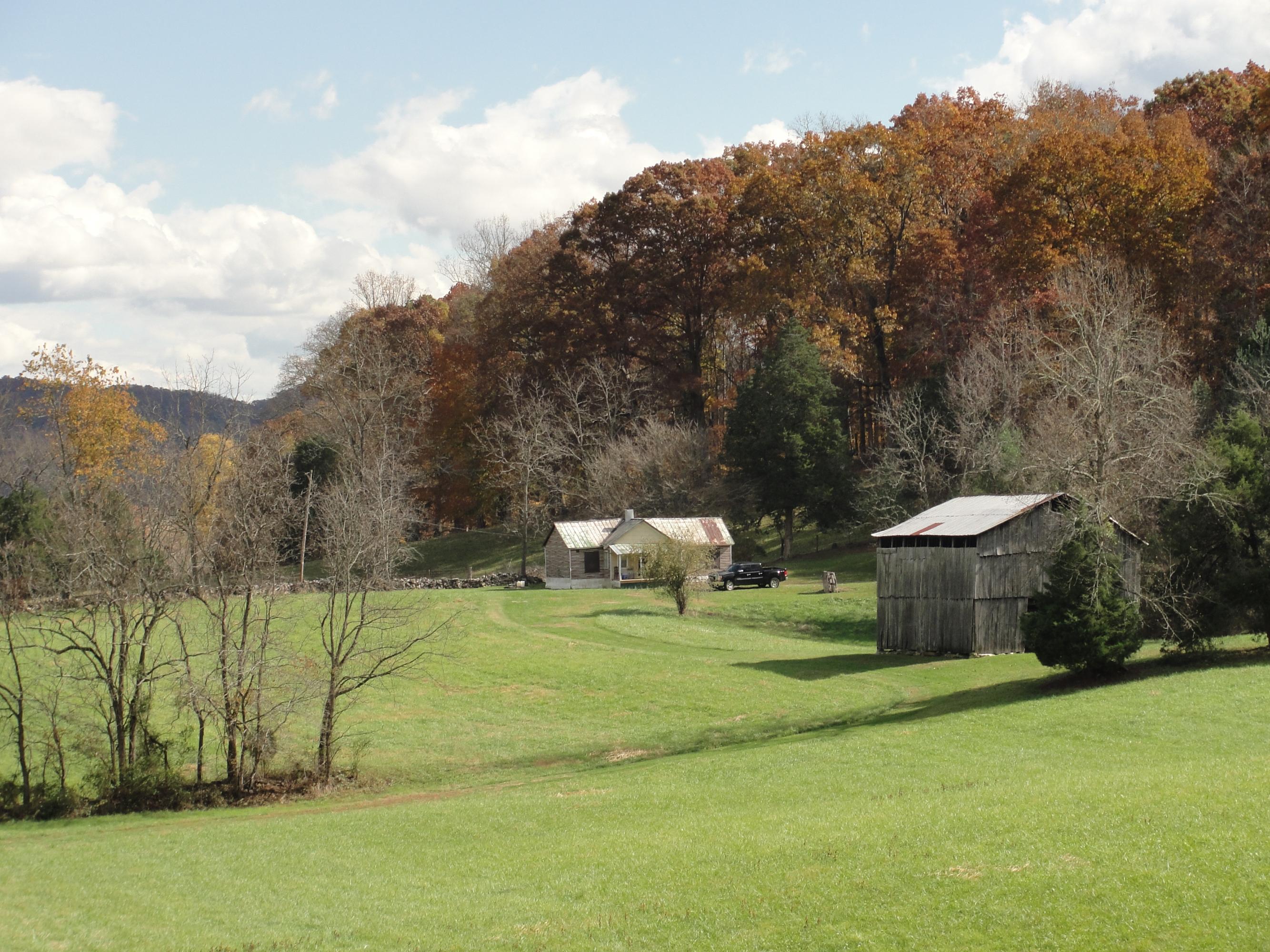 160 Lost Creek Road Sharps Chapel, TN 37866 - Photo 7 of 14 014
