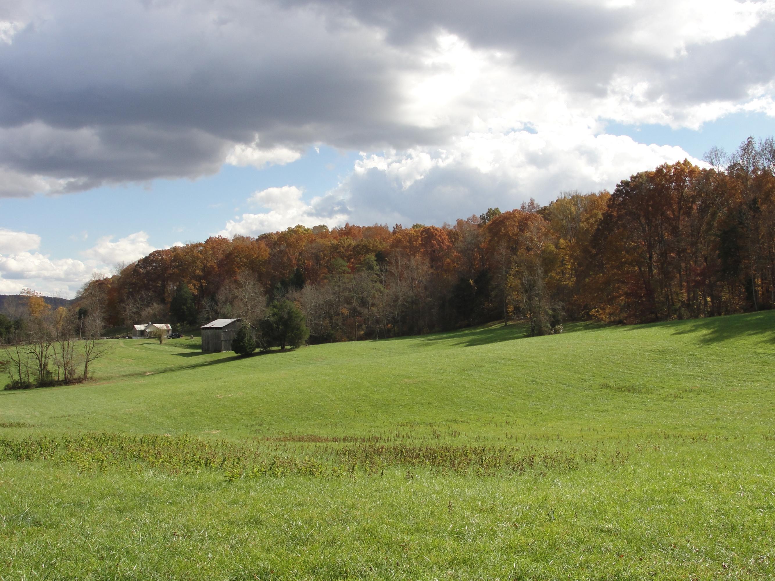 160 Lost Creek Road Sharps Chapel, TN 37866 - Photo 8 of 14 015