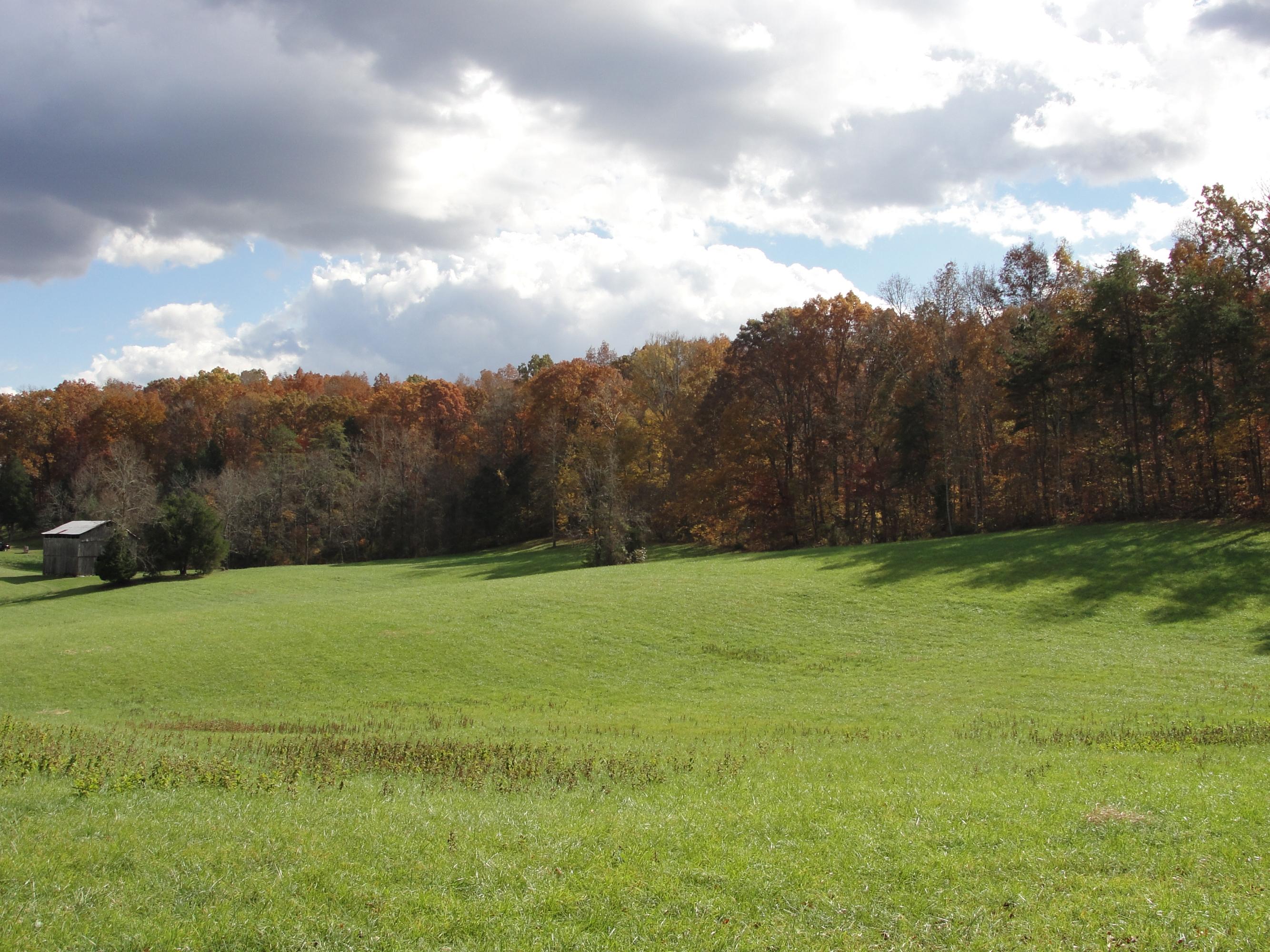 160 Lost Creek Road Sharps Chapel, TN 37866 - Photo 9 of 14 016