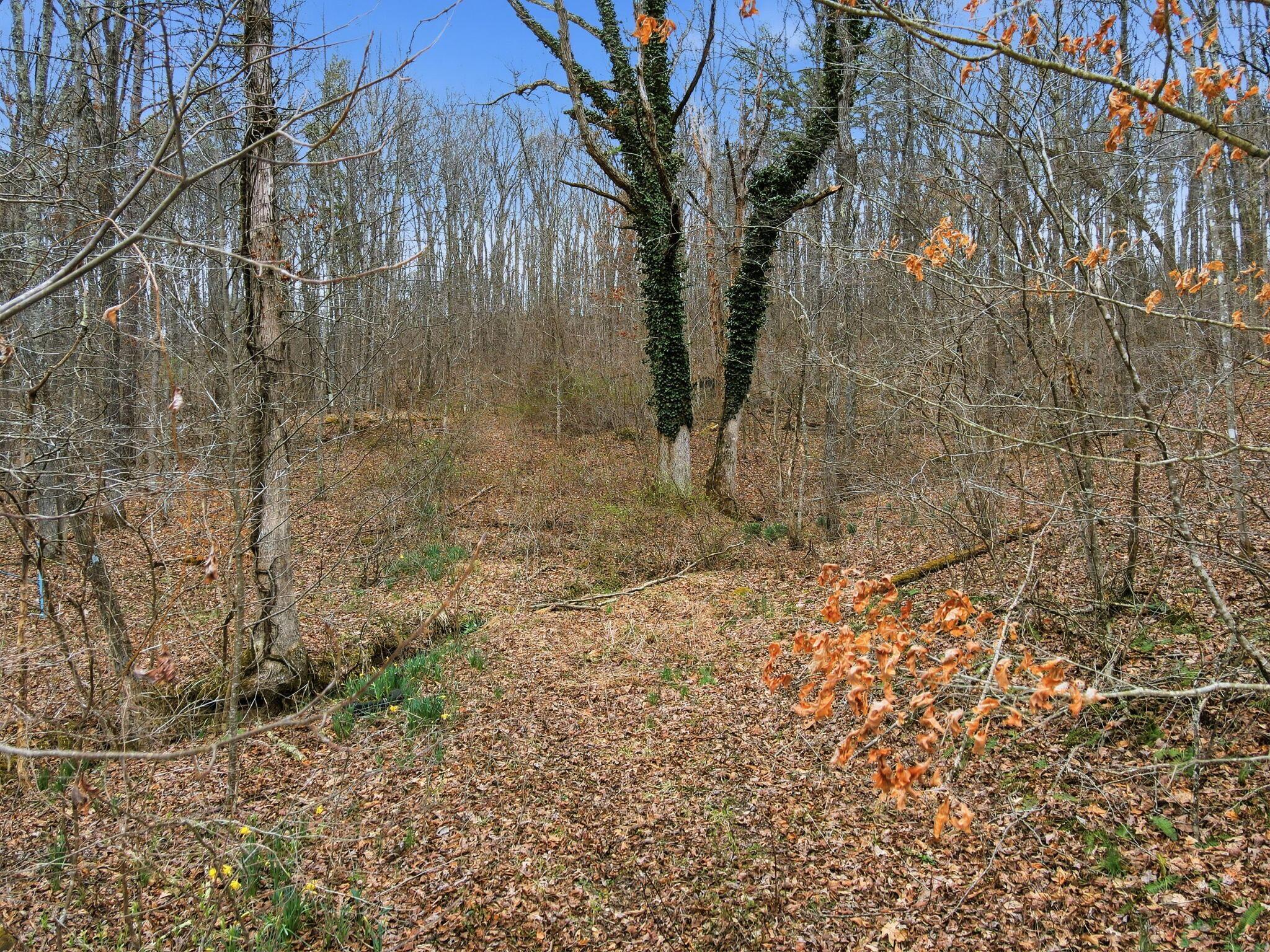 34178 Kelly Road Ray, OH 45672 - Photo 22 of 22 21-web-or-mls-DJI_0563