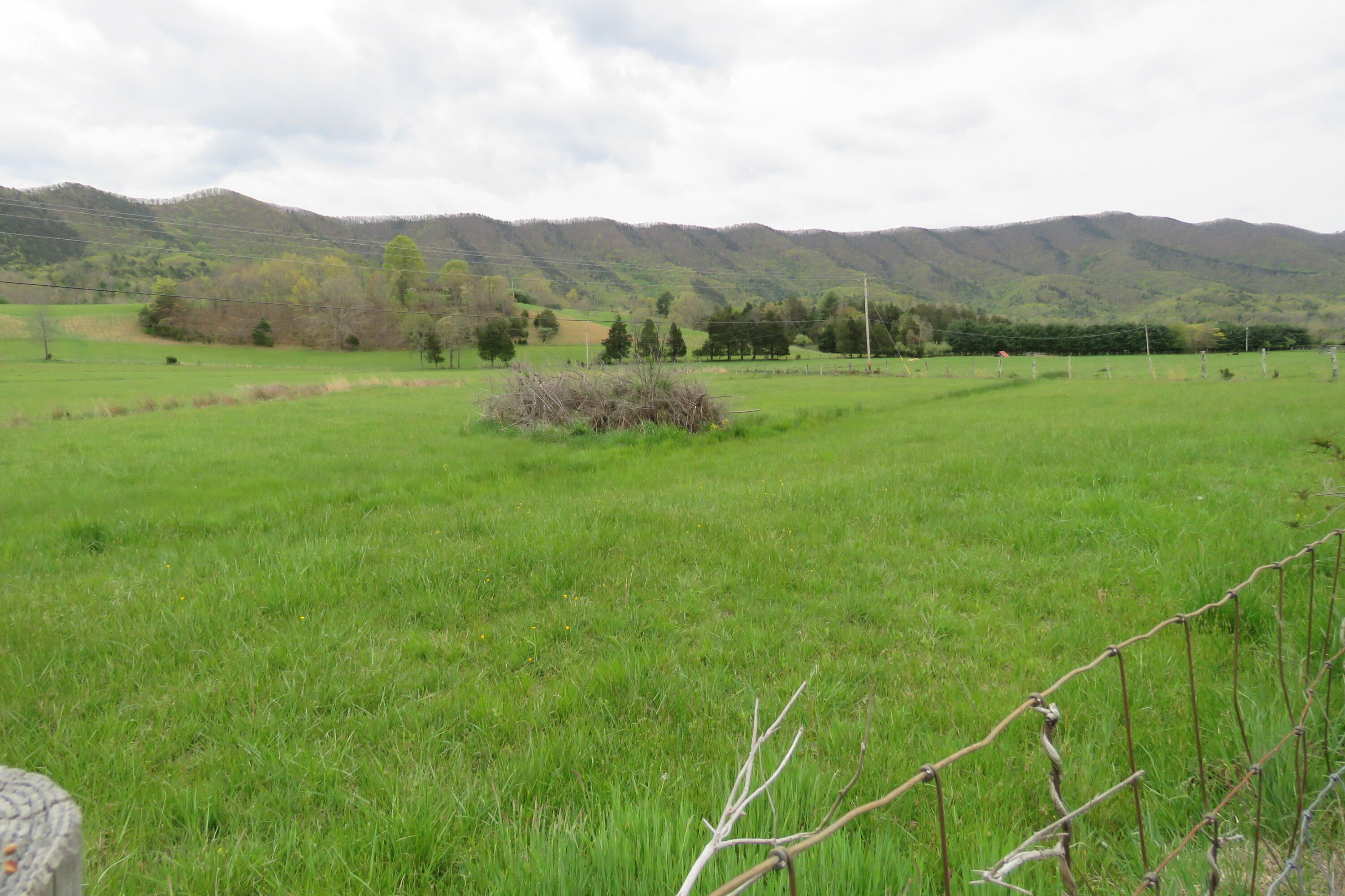 0 Upper Craigs Creek Road Catawba, VA 24070 - Photo 13 of 33 All the fields are beautiful!