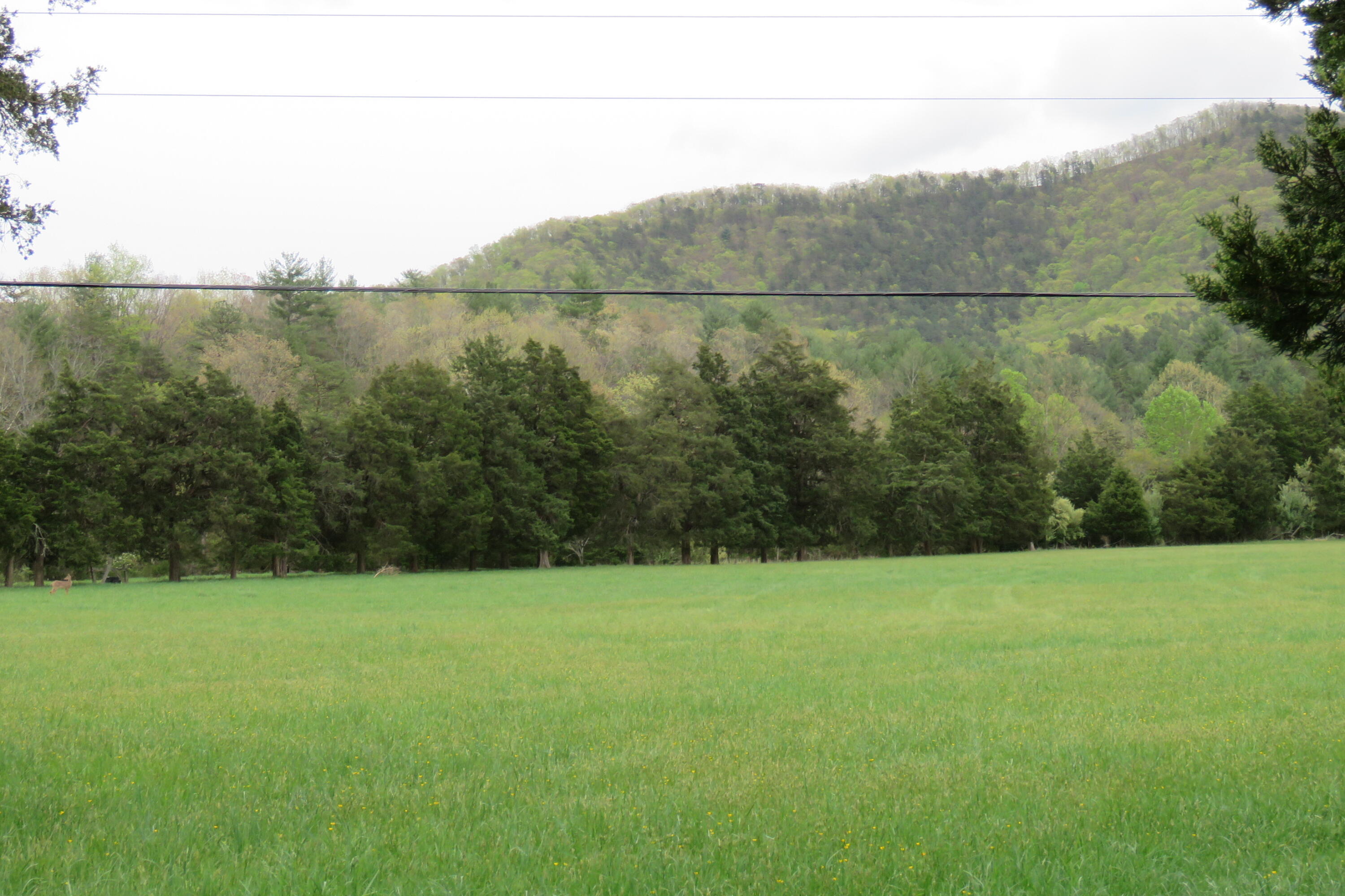 0 Upper Craigs Creek Road Catawba, VA 24070 - Photo 15 of 33 IMG_3702