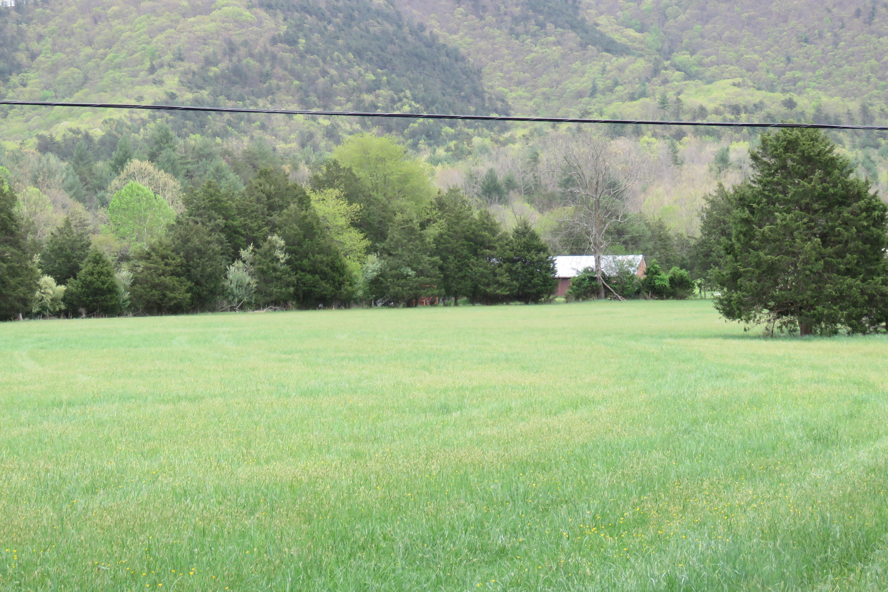 0 Upper Craigs Creek Road Catawba, VA 24070 - Photo 17 of 33 IMG_3704