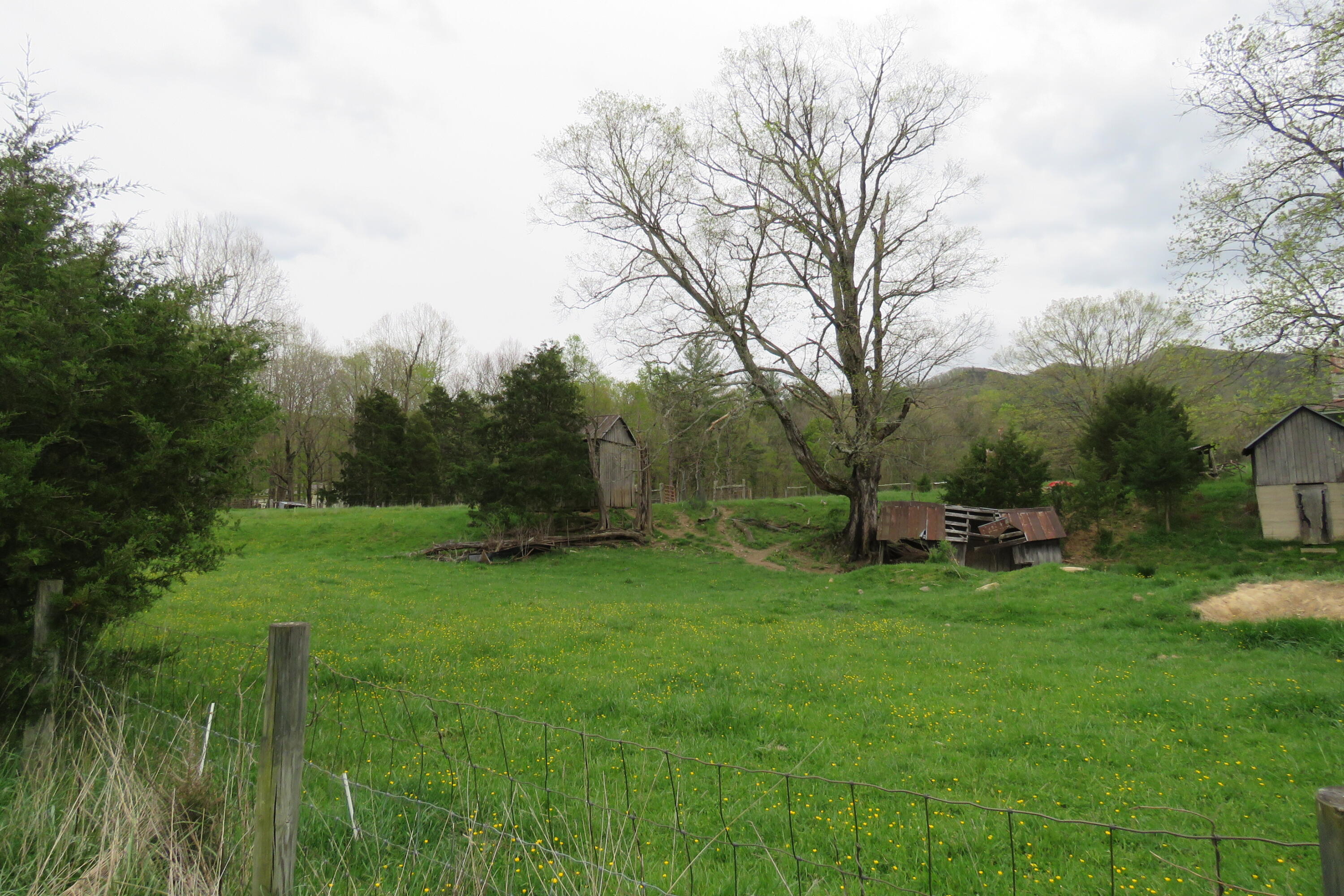 0 Upper Craigs Creek Road Catawba, VA 24070 - Photo 21 of 33 IMG_3715