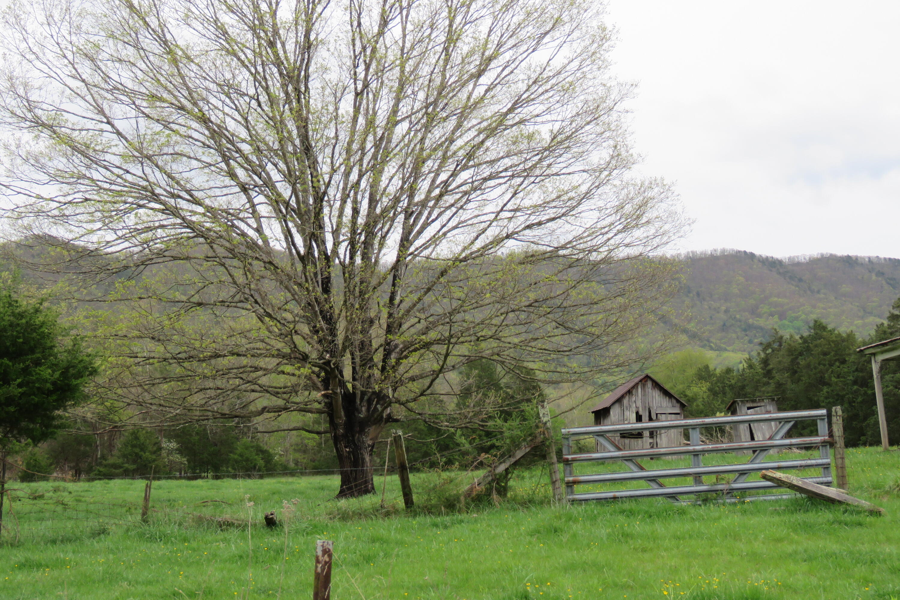 0 Upper Craigs Creek Road Catawba, VA 24070 - Photo 22 of 33 IMG_3717