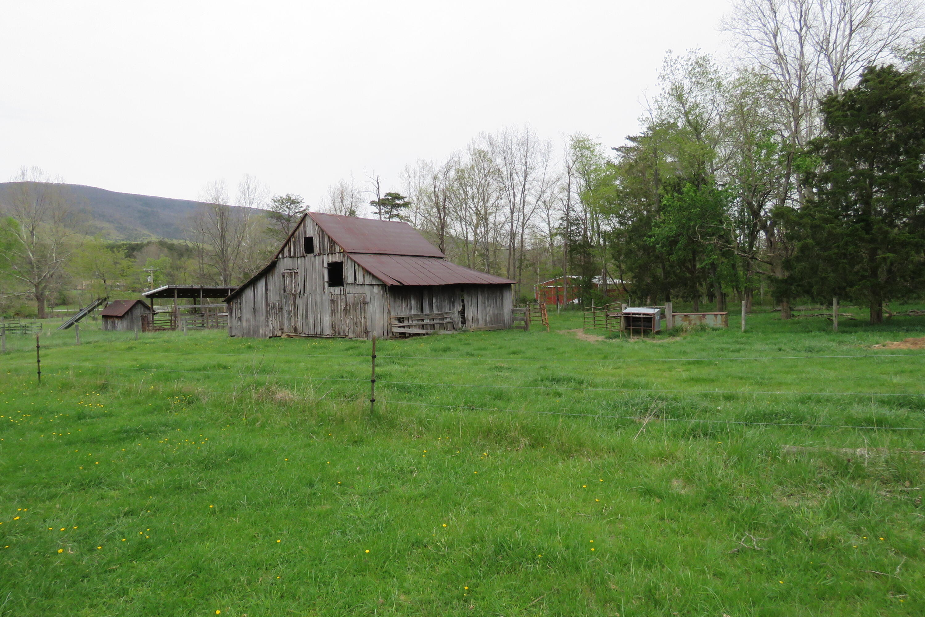 0 Upper Craigs Creek Road Catawba, VA 24070 - Photo 26 of 33 IMG_3725