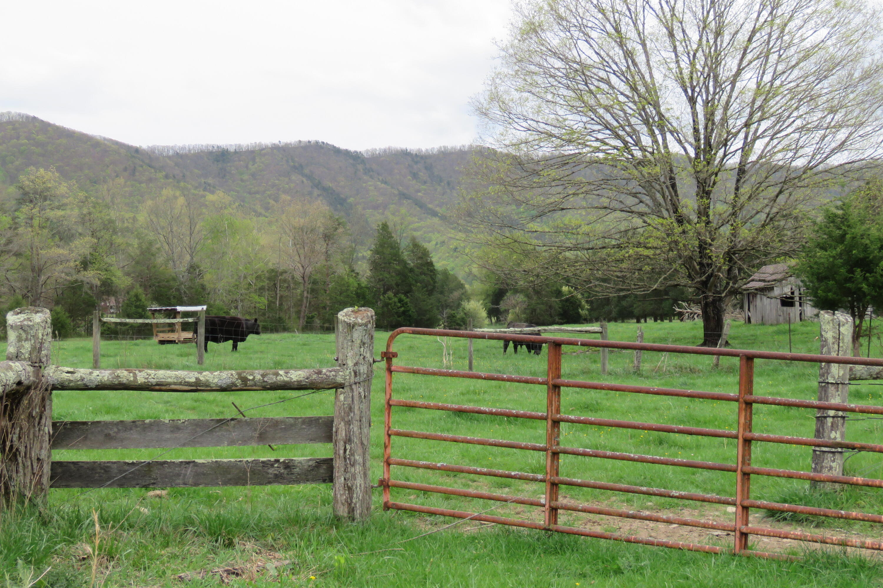 0 Upper Craigs Creek Road Catawba, VA 24070 - Photo 27 of 33 IMG_3728
