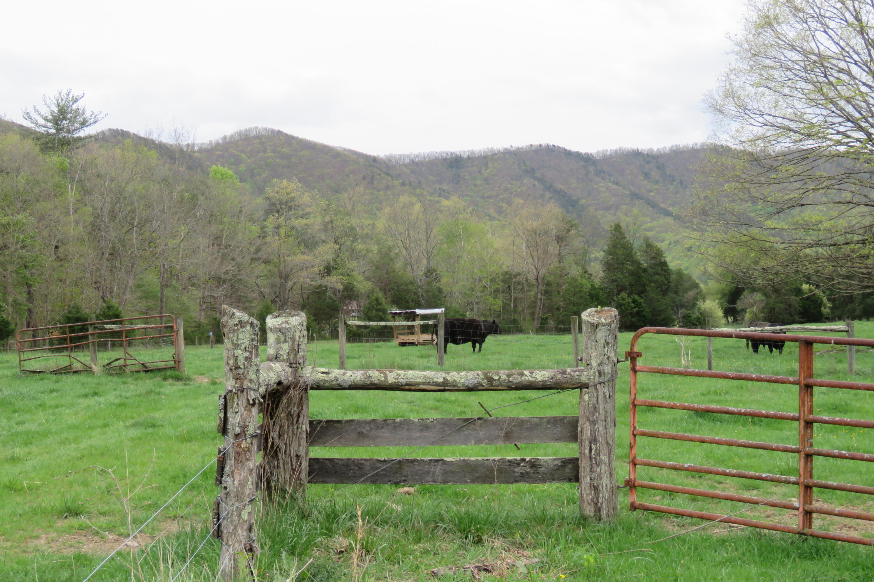 0 Upper Craigs Creek Road Catawba, VA 24070 - Photo 28 of 33 IMG_3729