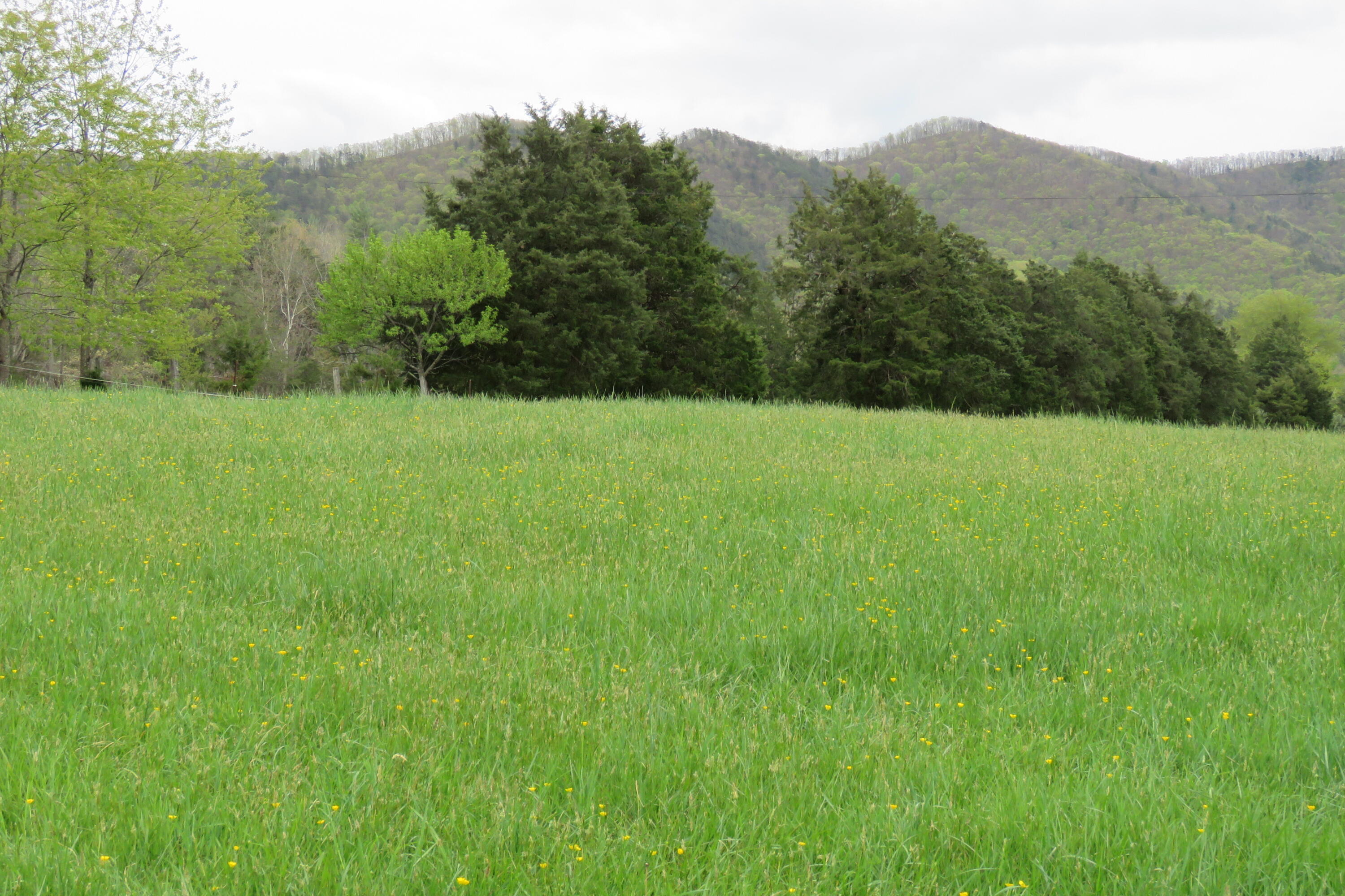Farm has great location!