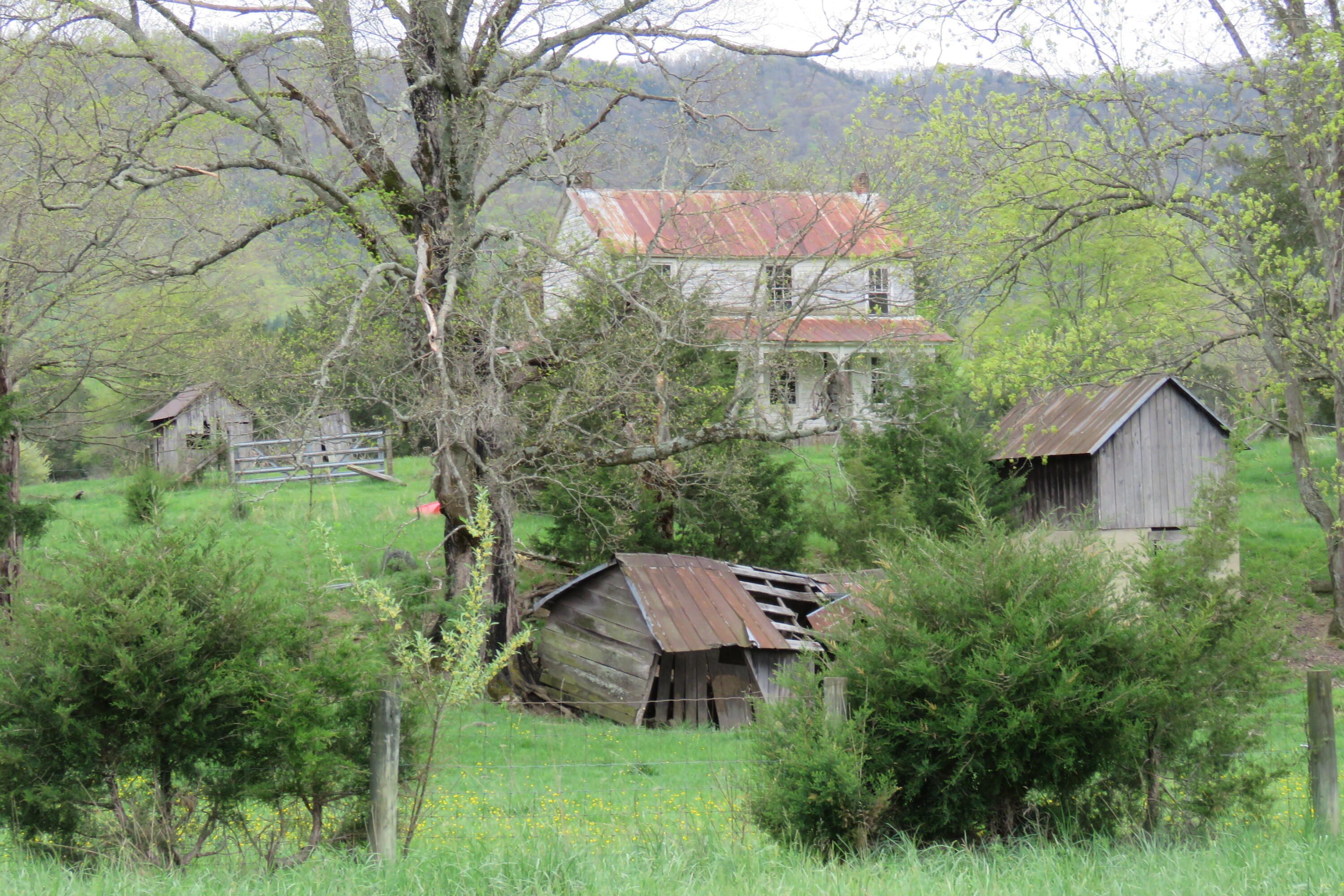 Multiple farm buildings