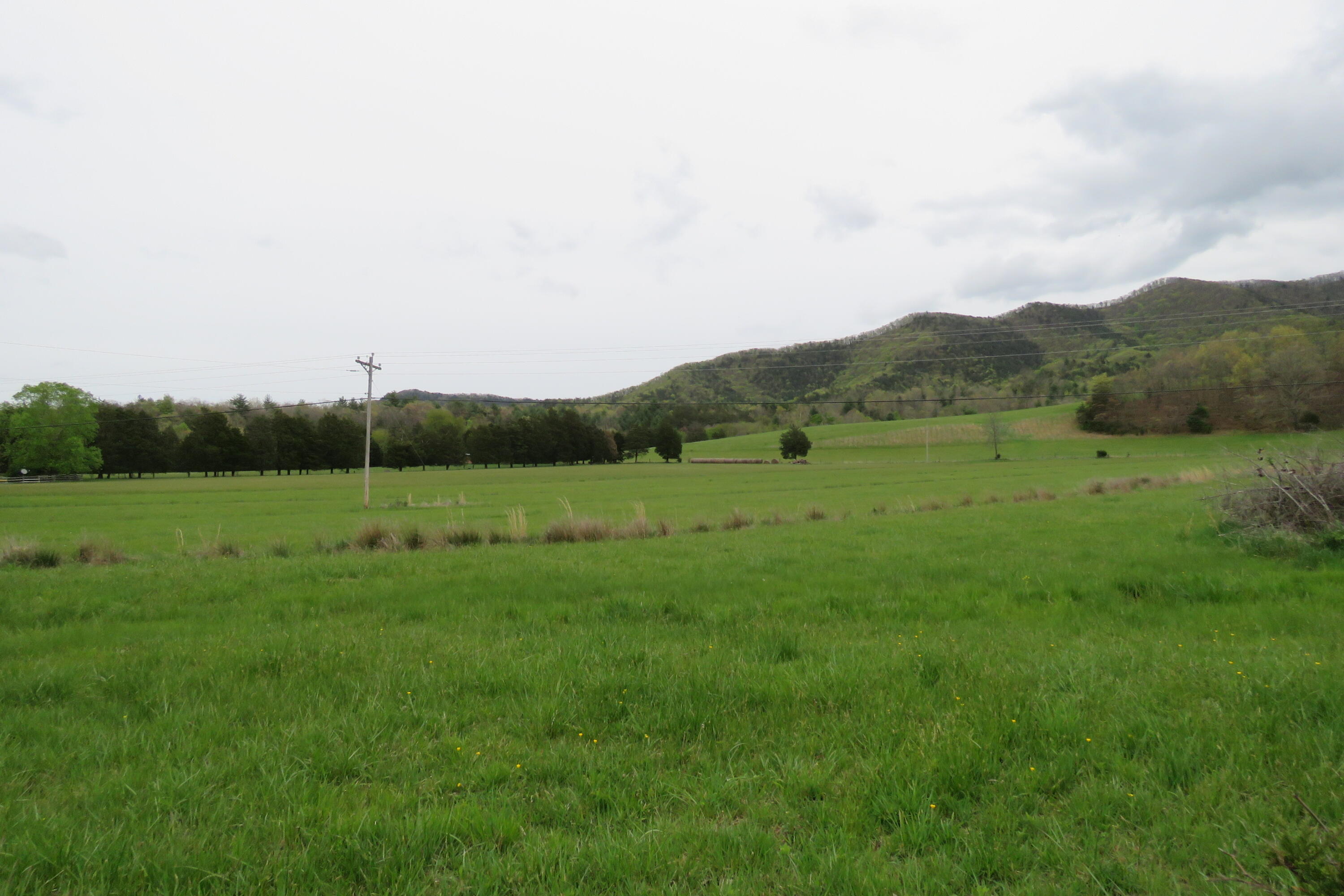 0 Upper Craigs Creek Road Catawba, VA 24070 - Photo 10 of 33 Mutliple fenced pastures!
