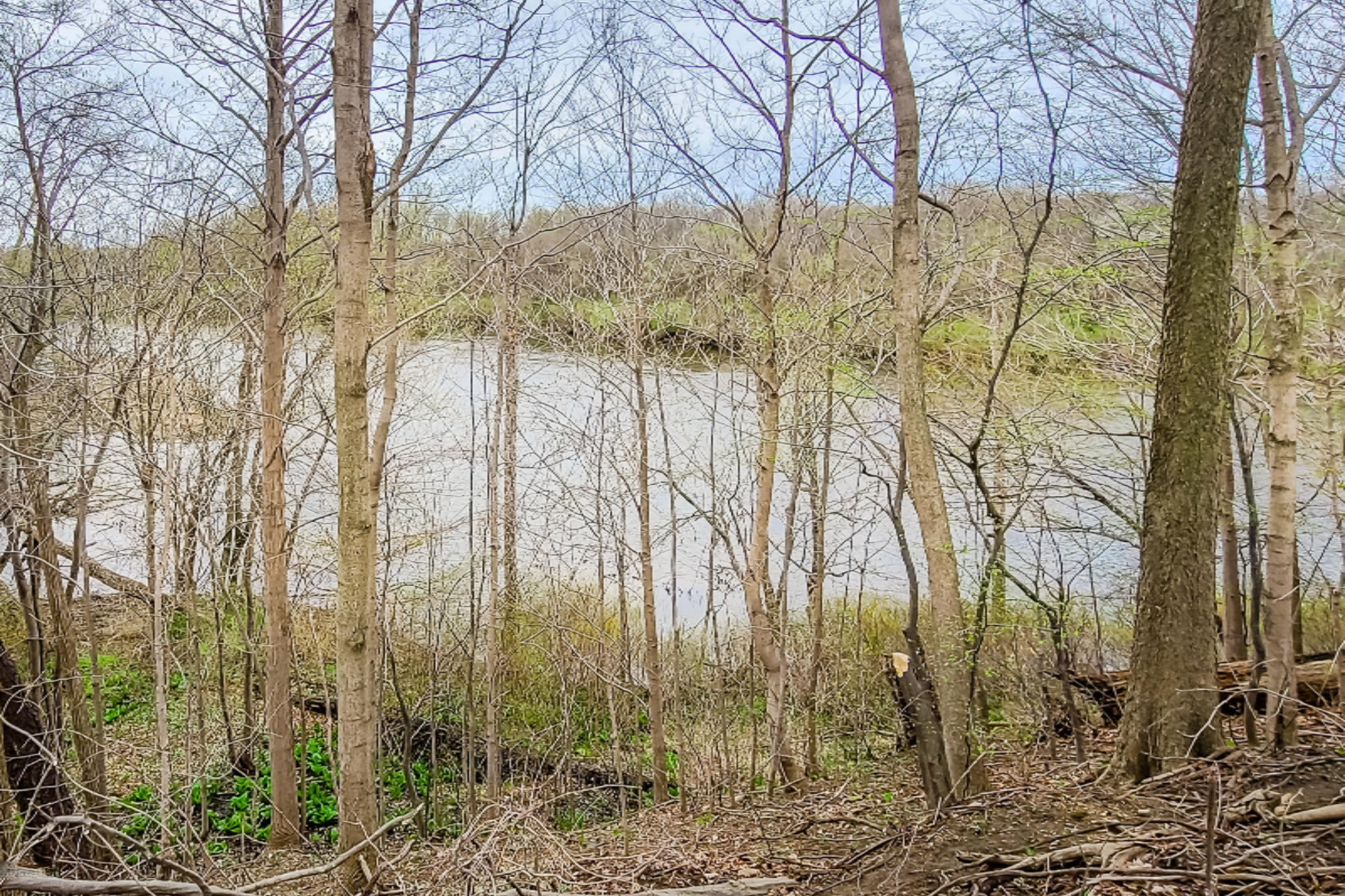 5706 River Road Sodus, MI 49126 - Photo 33 of 35 River Rd-133