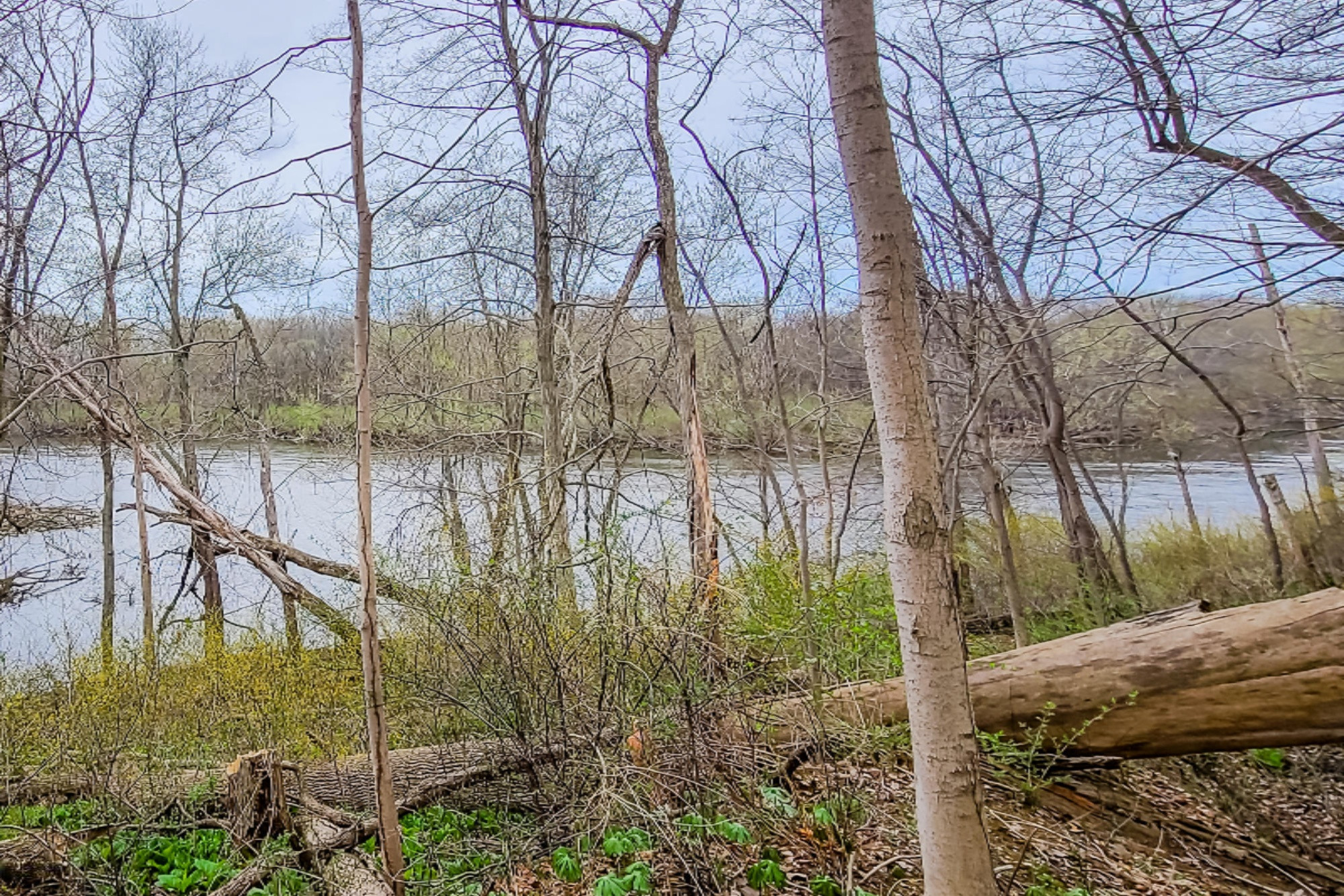 5706 River Road Sodus, MI 49126 - Photo 35 of 35 River Rd-135