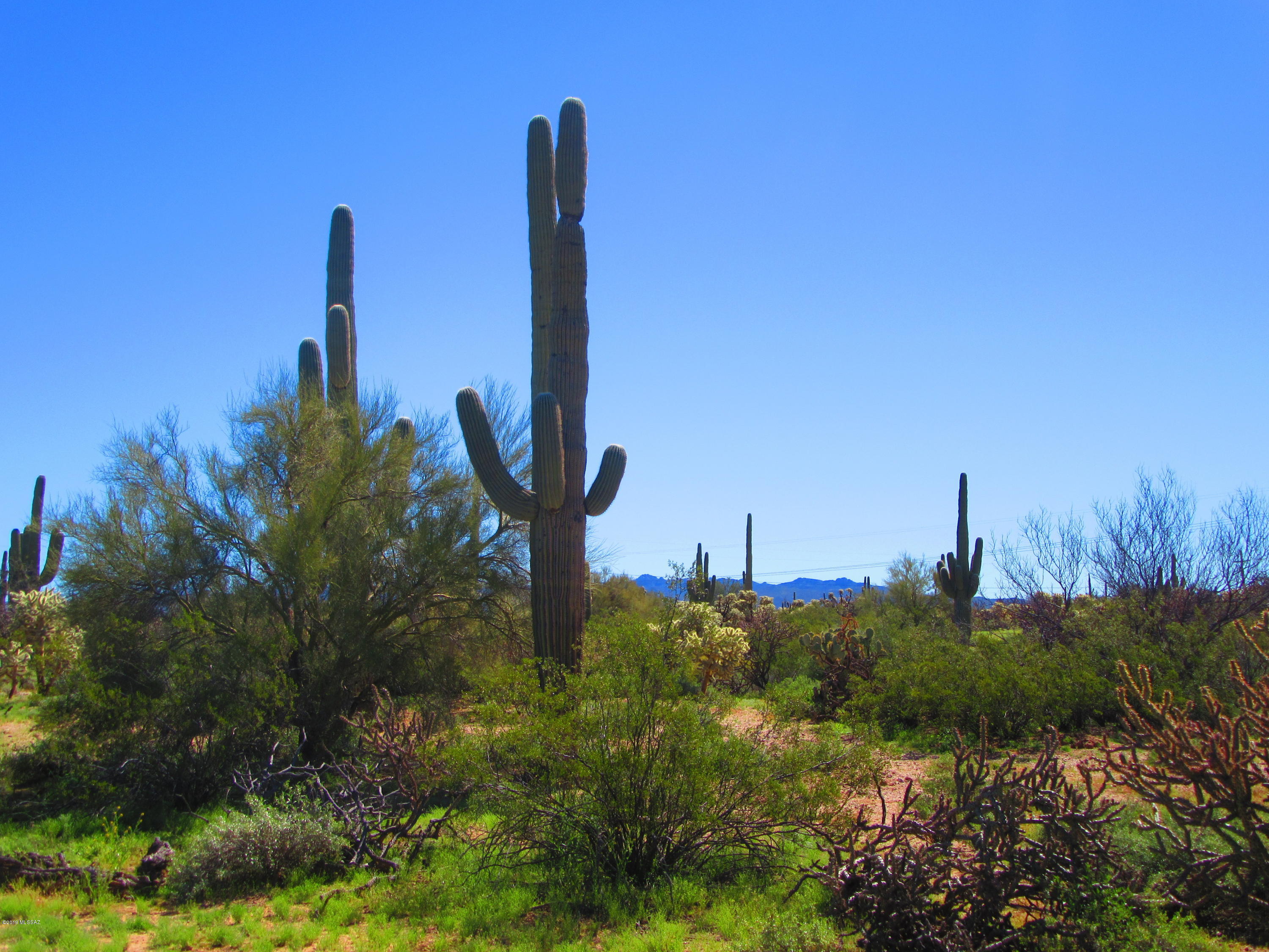 Xx South Cattle Tank Road, Unit 11 48) Marana, AZ 85658 - Photo 12 of 19