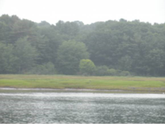165-175 River Road York, ME 03902 - Photo 1 of 1 Gallery Image 1