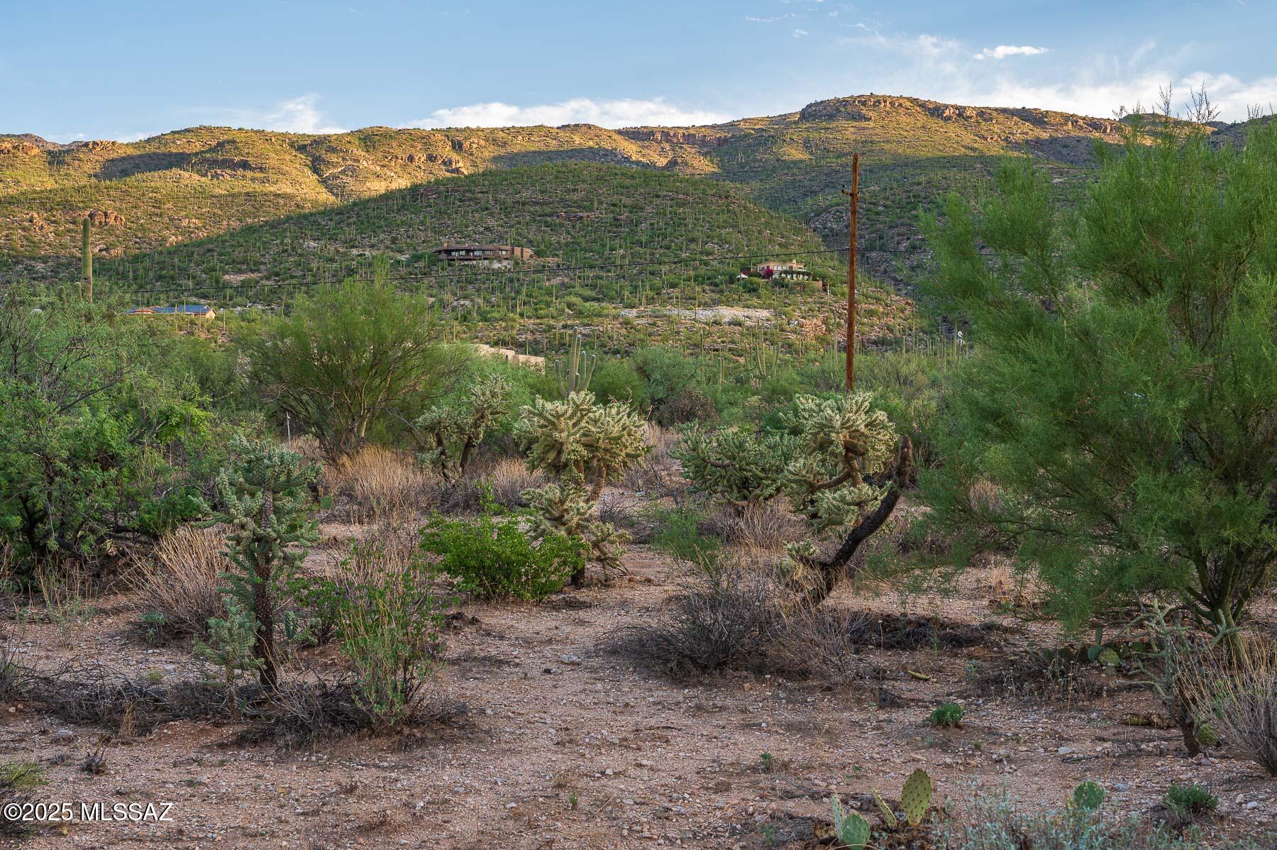 12550 East Horsehead Road Tucson, AZ 85749 - Photo 17 of 29