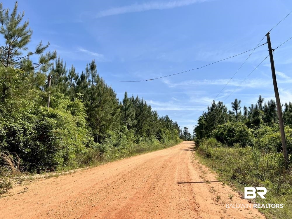 0 Fluker Kiel Road Coffeeville, AL 36524 - Photo 26 of 34