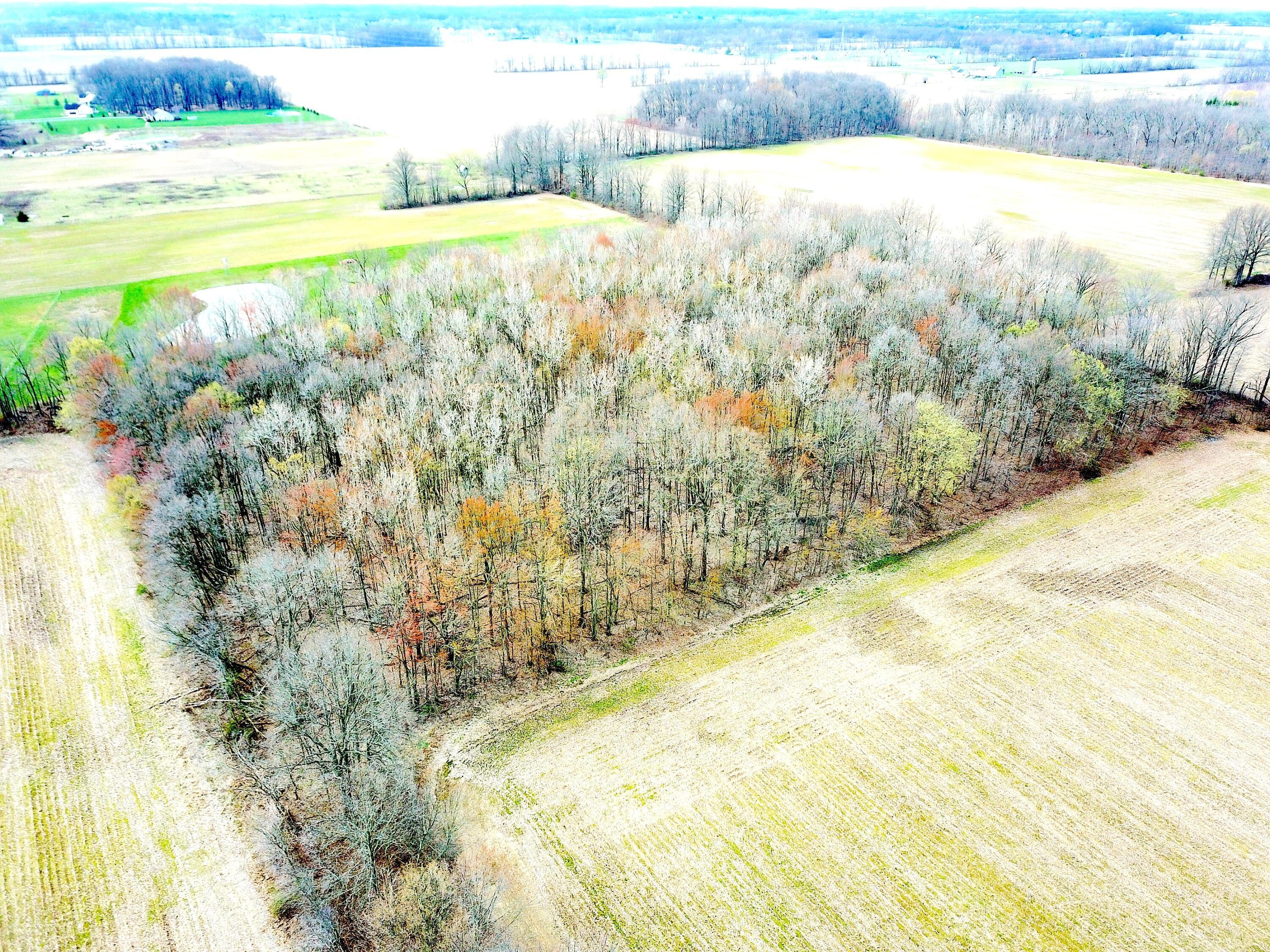 0 Carr Road Ostrander, OH 43061 - Photo 6 of 24 DJI_0988