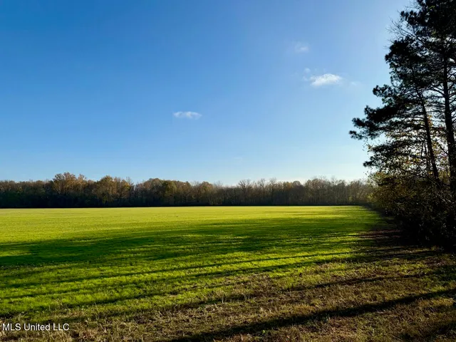$180,000 | 4 Mill Pond Road, Lamar, MS 38642