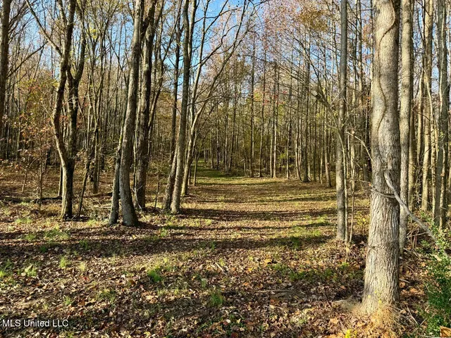 $180,000 | 4 Mill Pond Road, Lamar, MS 38642