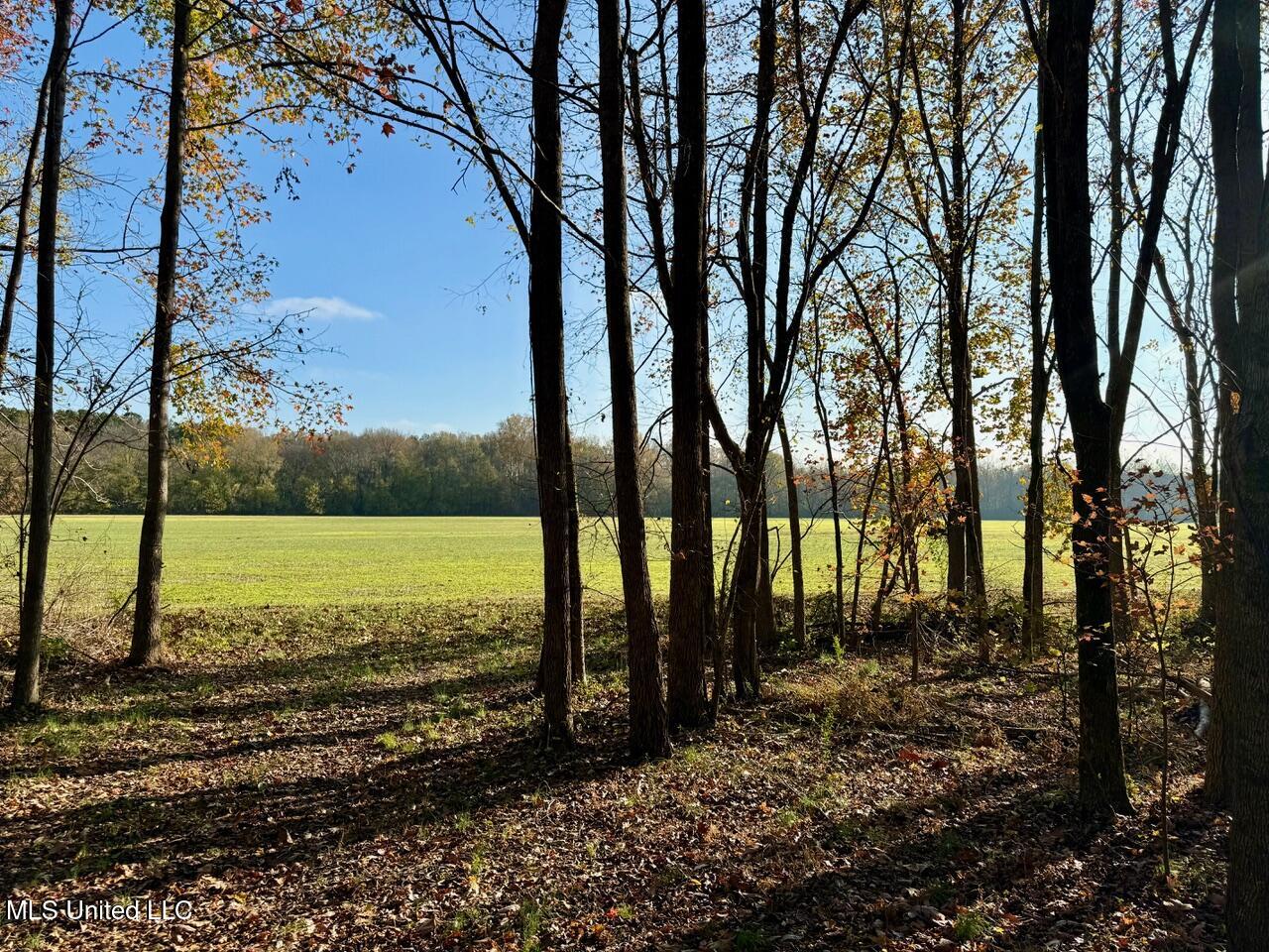 4 Mill Pond Road Lamar, MS 38642 - Photo 14 of 99 IMG_0134