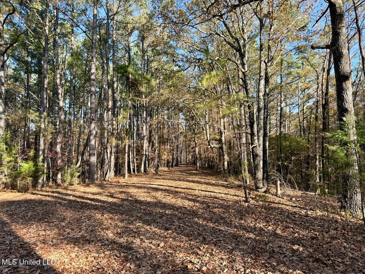 4 Mill Pond Road Lamar, MS 38642 - Photo 25 of 99 IMG_0153