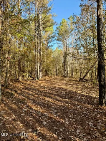 $180,000 | 4 Mill Pond Road, Lamar, MS 38642