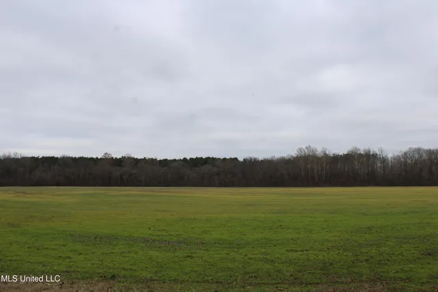 $180,000 | 4 Mill Pond Road, Lamar, MS 38642
