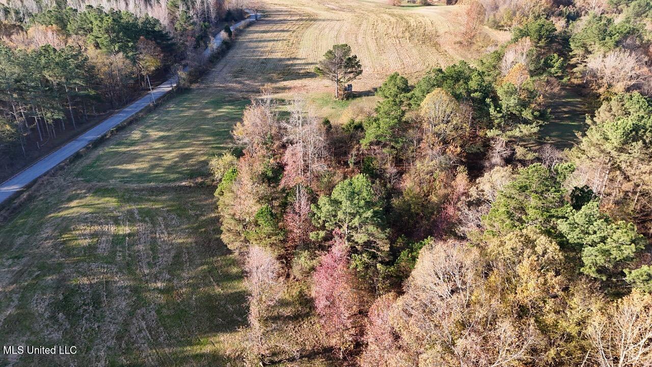 4 Mill Pond Road Lamar, MS 38642 - Photo 5 of 99 dji_fly_20241126_082844_0190_17326583011
