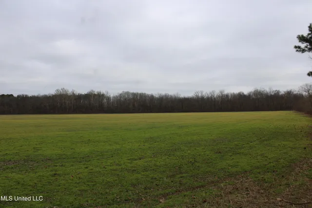 $180,000 | 4 Mill Pond Road, Lamar, MS 38642