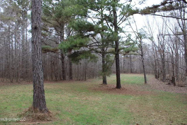 $180,000 | 4 Mill Pond Road, Lamar, MS 38642