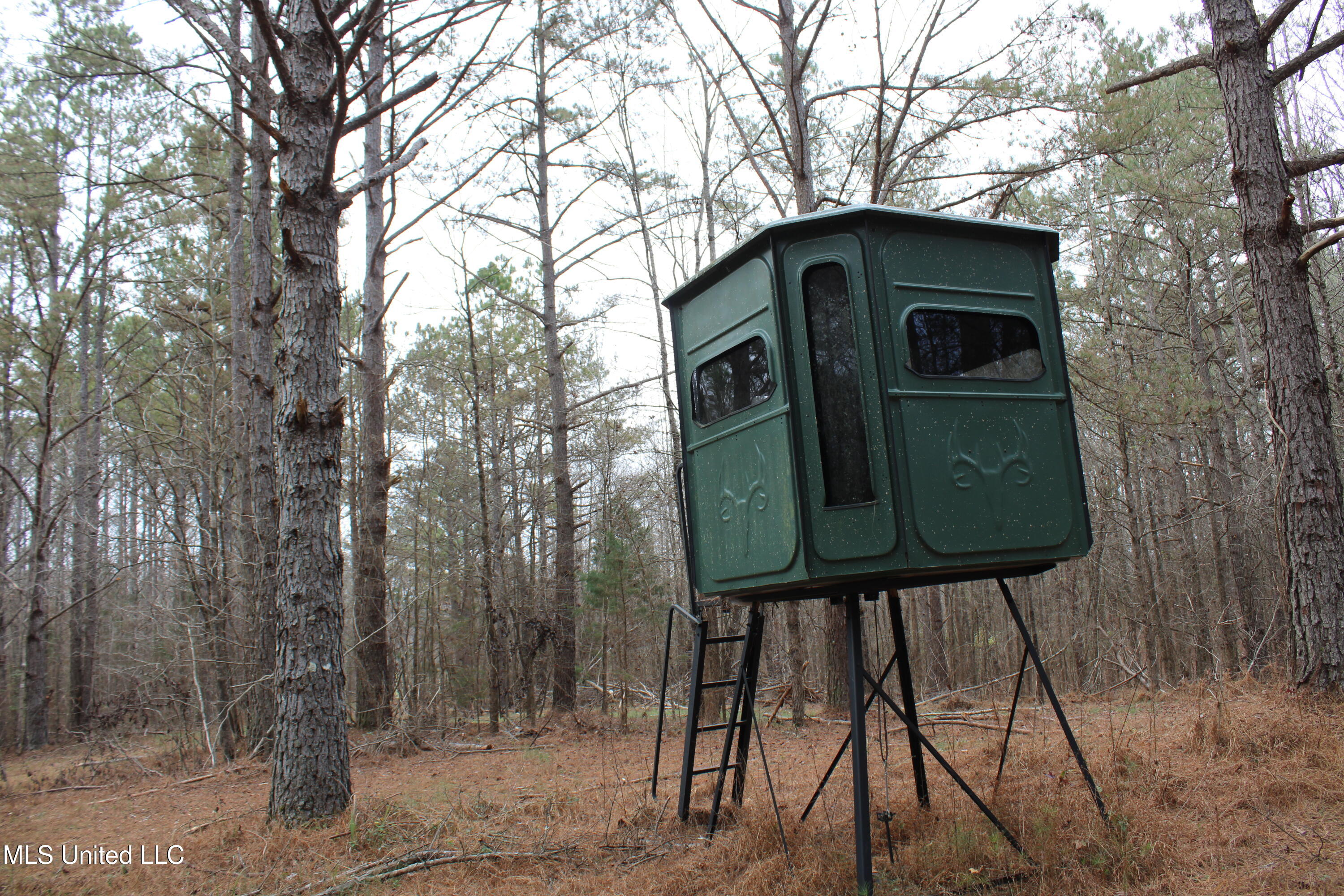4 Mill Pond Road Lamar, MS 38642 - Photo 61 of 99 IMG_5281
