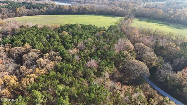 $180,000 | 4 Mill Pond Road, Lamar, MS 38642