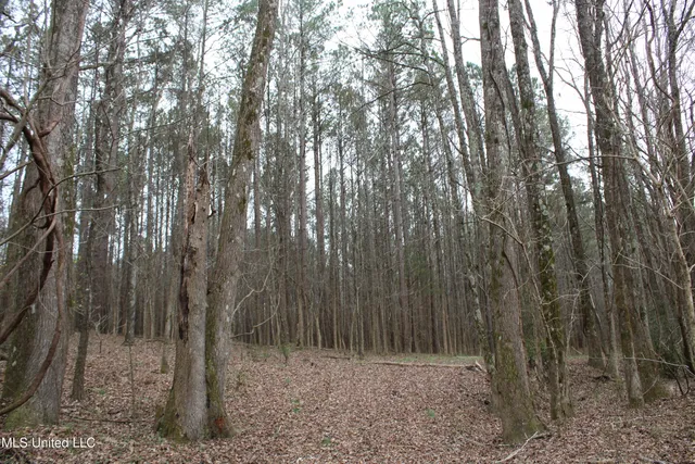 $180,000 | 4 Mill Pond Road, Lamar, MS 38642