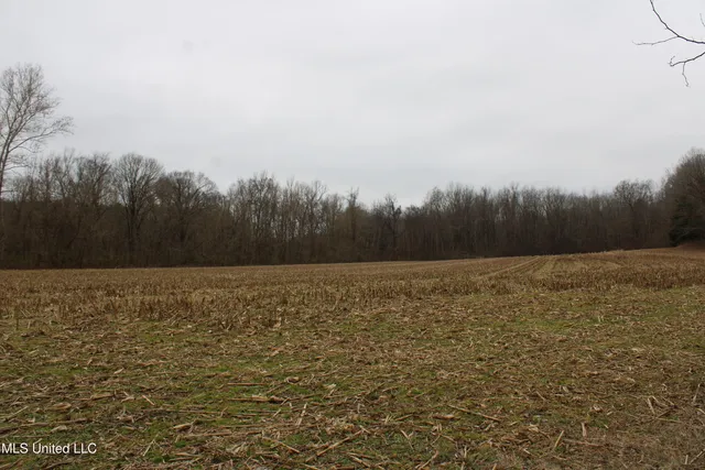 $180,000 | 4 Mill Pond Road, Lamar, MS 38642