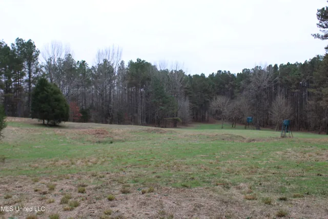 $180,000 | 4 Mill Pond Road, Lamar, MS 38642