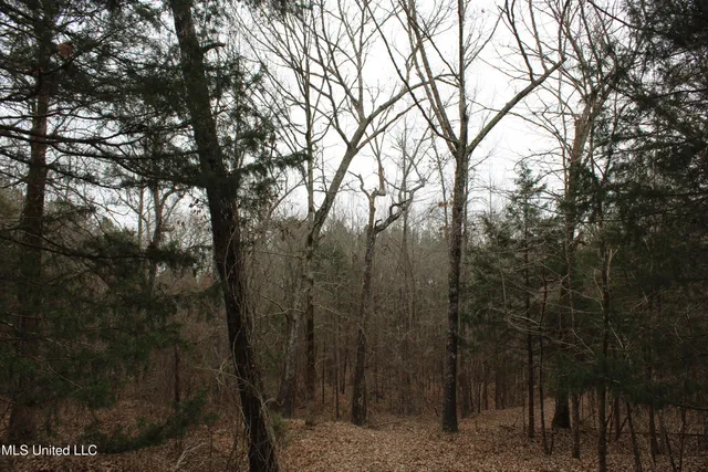 $180,000 | 4 Mill Pond Road, Lamar, MS 38642