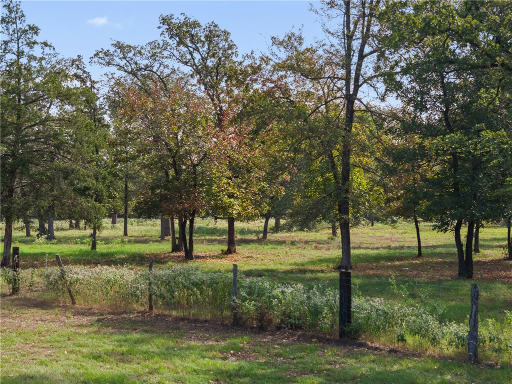 9556 West Henry Prairie Road Hearne, TX 77859 - Photo 41 of 42 Gallery Image 41