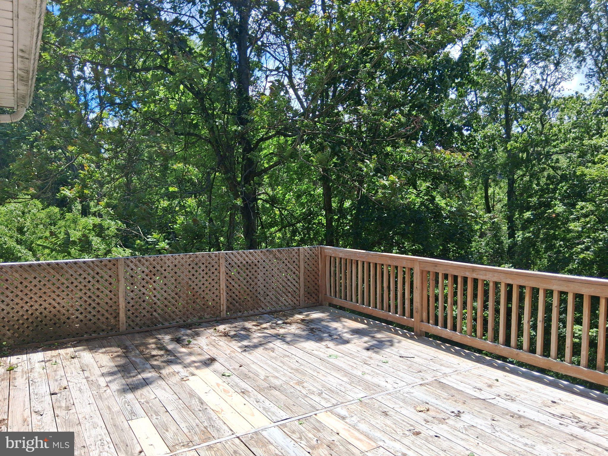 265 View Street Johnstown, PA 15902 - Photo 19 of 66 Serene deck nestled in lush greenery.