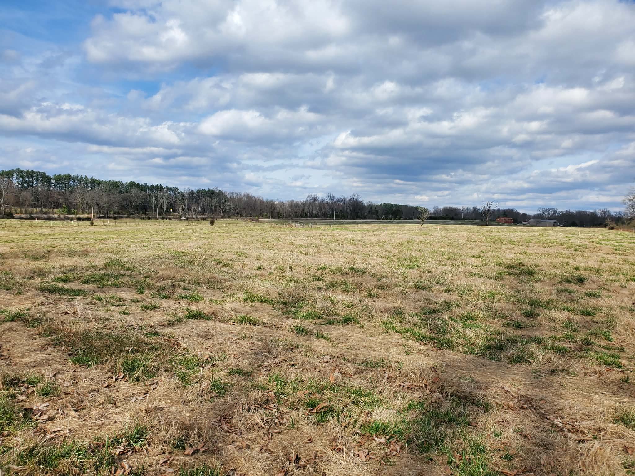 0 Arnold Thomas Road Silver Point, TN 38582 - Photo 2 of 6