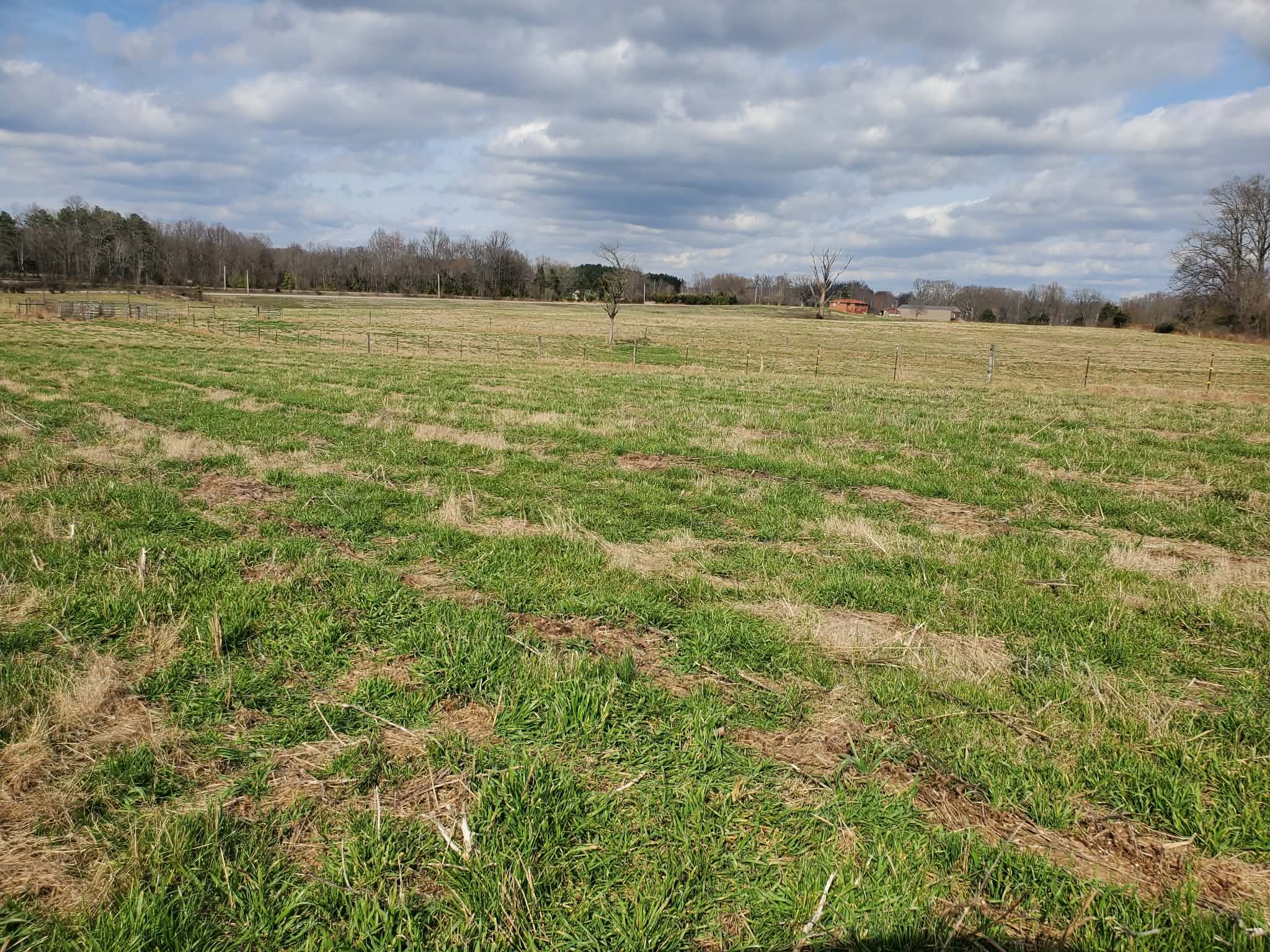 0 Arnold Thomas Road Silver Point, TN 38582 - Photo 3 of 6
