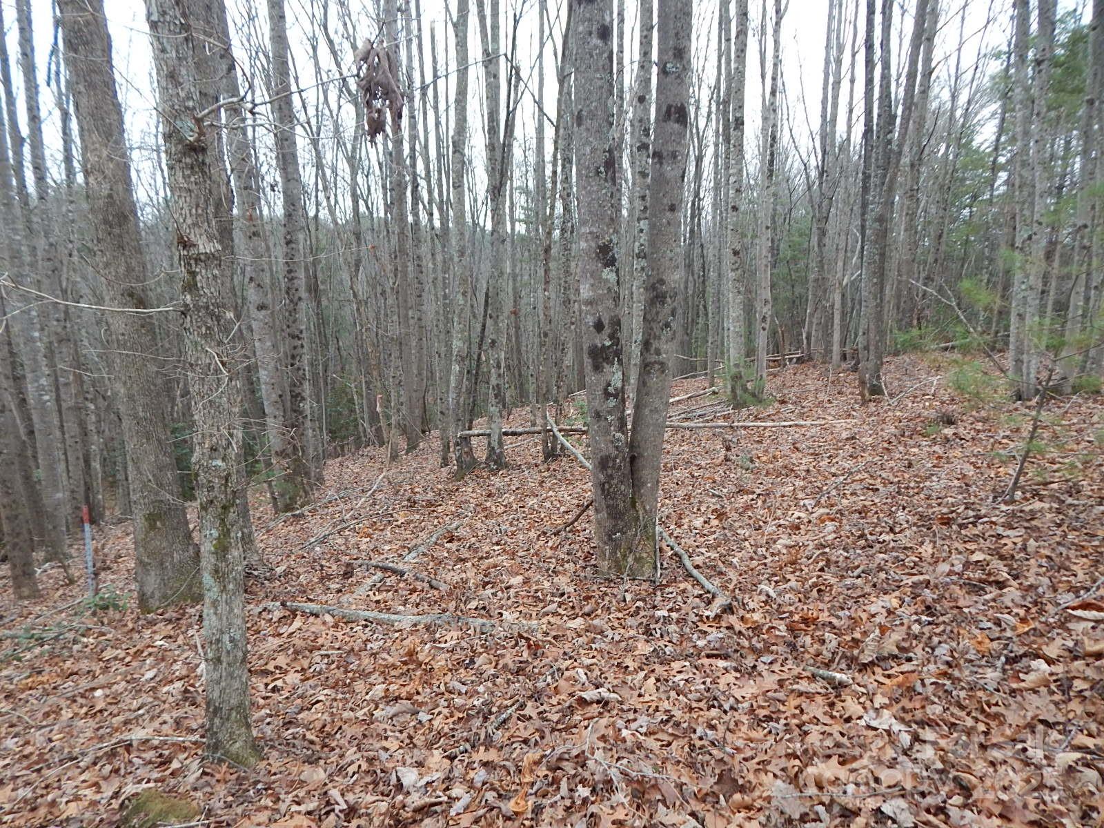 1061 Round Rock Road, Unit 56 Lenoir, NC 28645 - Photo 1 of 29 Gallery Image 1