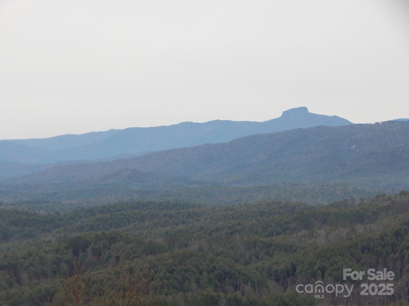 1061 Round Rock Road, Unit 56 Lenoir, NC 28645 - Photo 11 of 29 Gallery Image 11