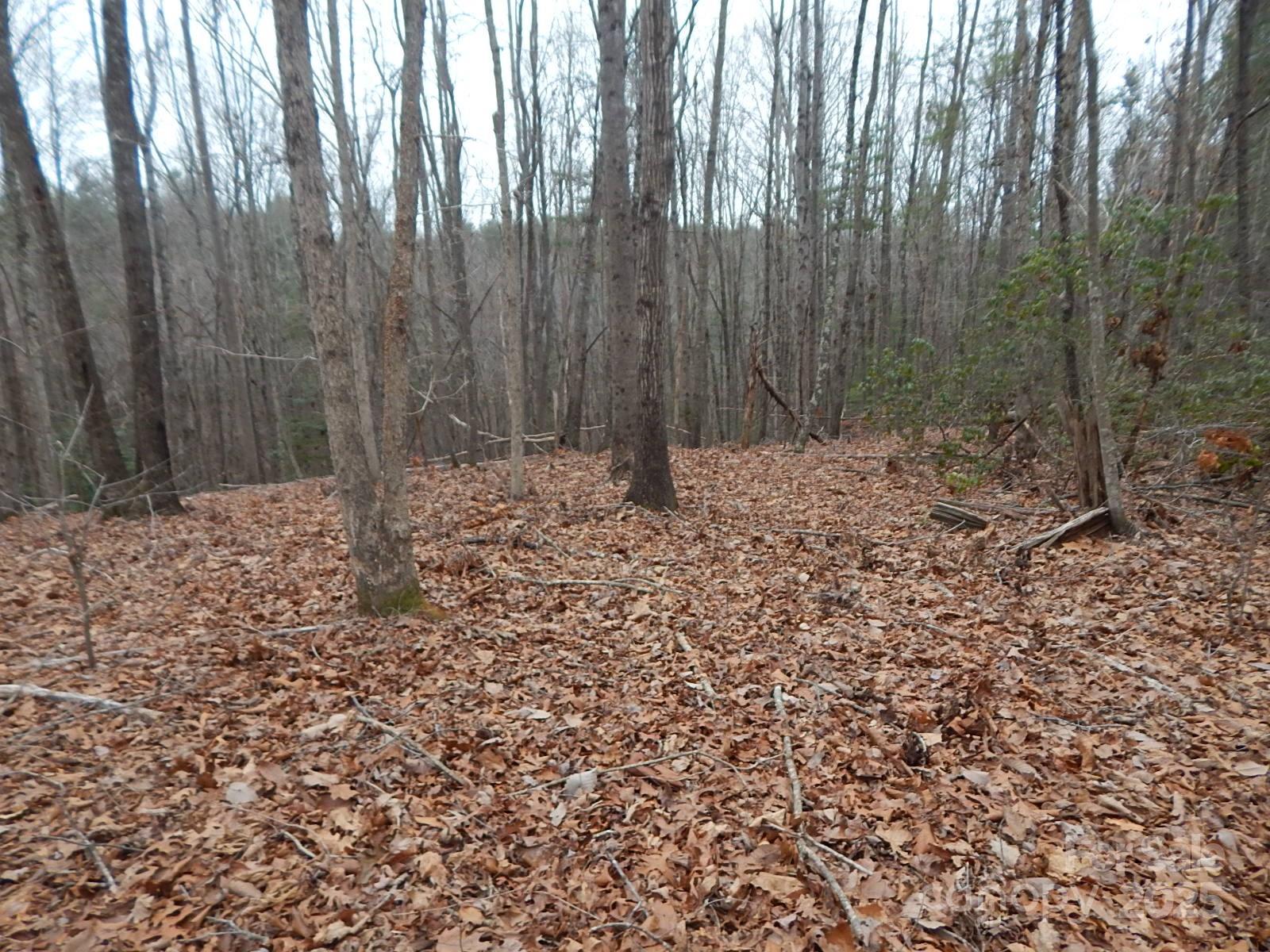 1061 Round Rock Road, Unit 56 Lenoir, NC 28645 - Photo 3 of 29 Gallery Image 3