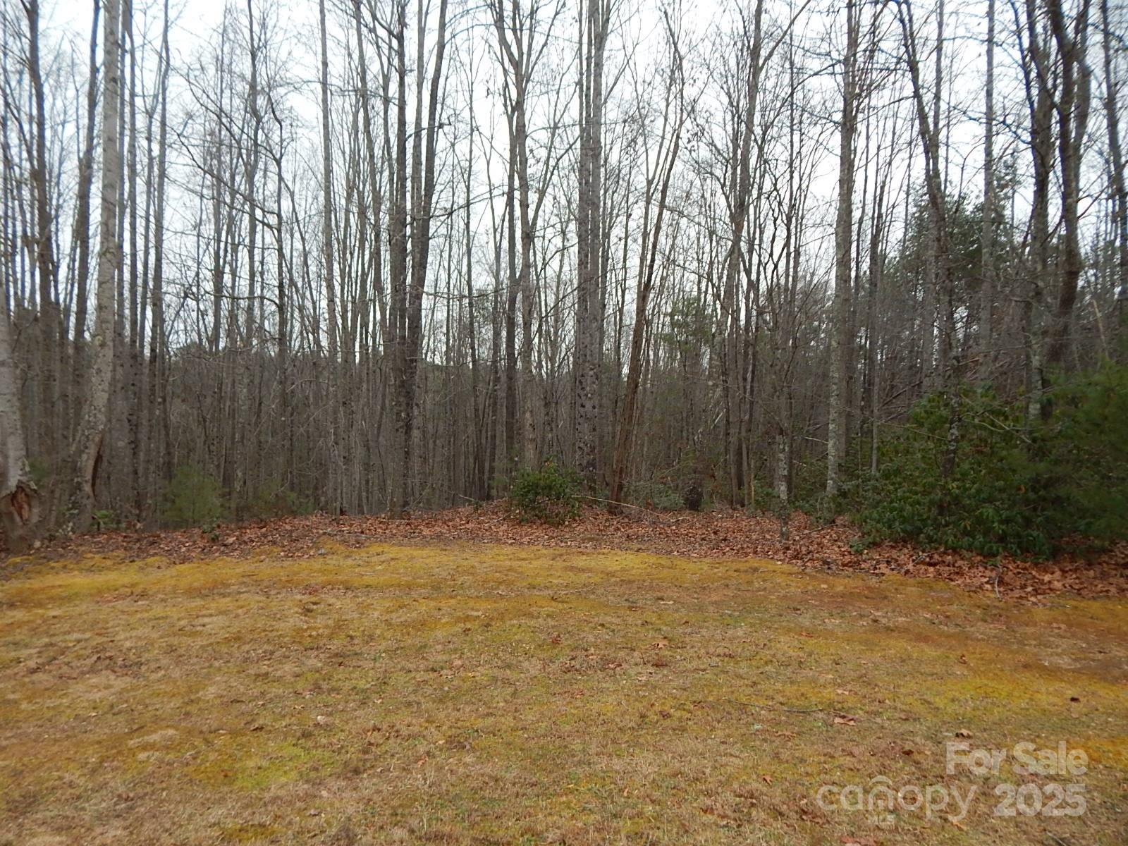 1061 Round Rock Road, Unit 56 Lenoir, NC 28645 - Photo 4 of 29 Gallery Image 4