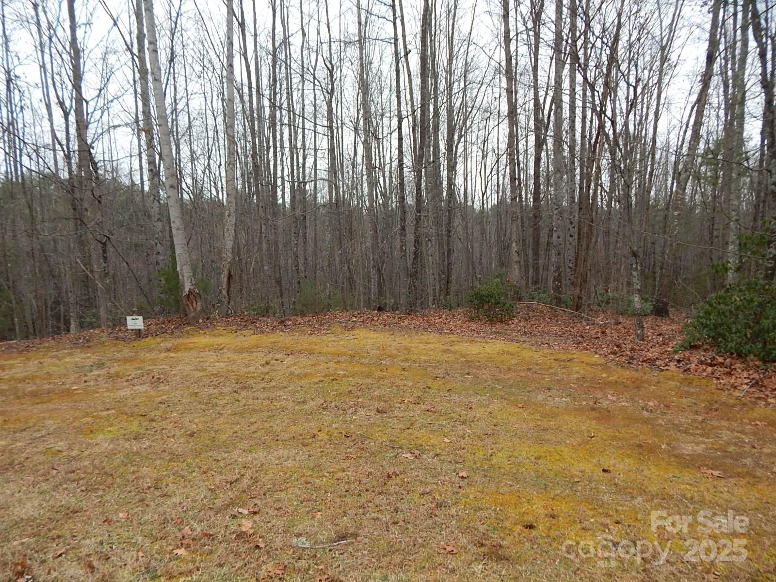 1061 Round Rock Road, Unit 56 Lenoir, NC 28645 - Photo 6 of 29 Gallery Image 6