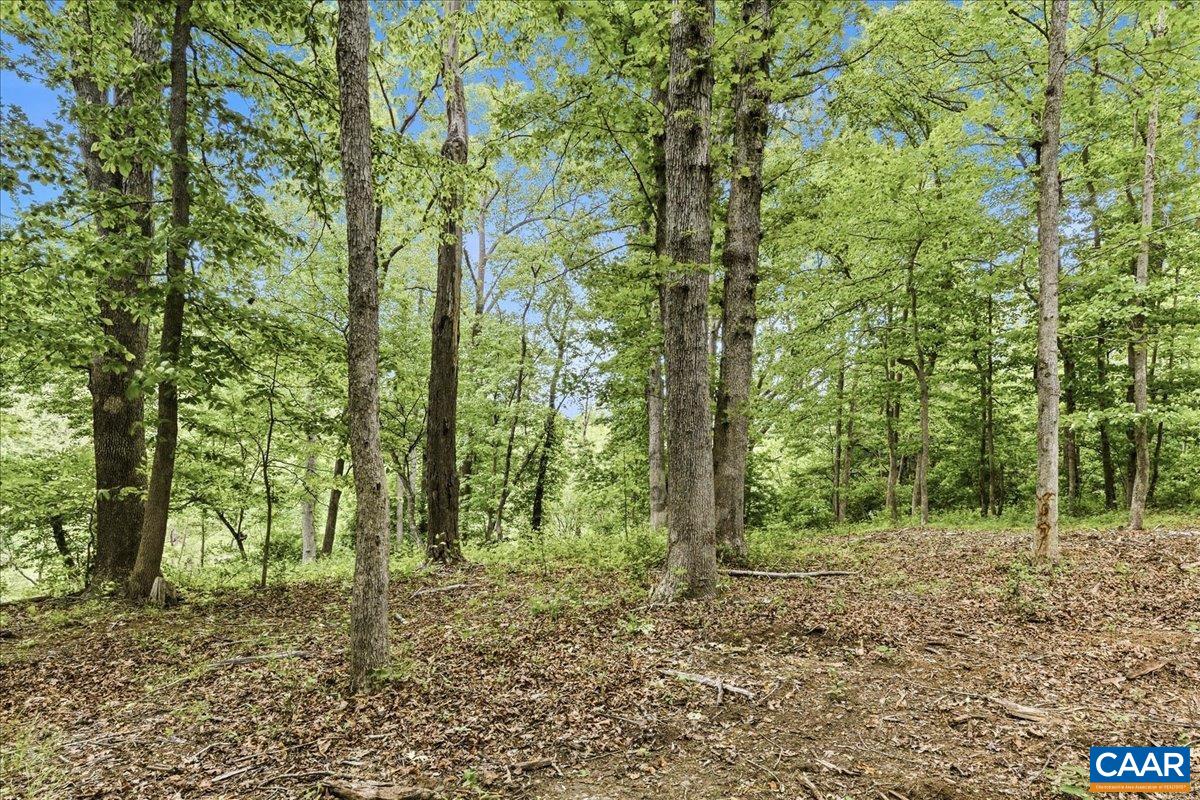 615 Half Mile Branch Road Crozet, VA 22932 - Photo 19 of 20